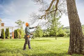 Reliable Raymond, IL Tree Removal and Landscaping Services Solutions